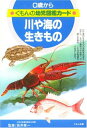 【中古】川や海の生きもの (くもんの幼児図鑑カード)