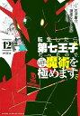 【中古】転生したら第七王子だったので、気ままに魔術を極めます(12) (KCデラックス)/石沢 庸介、メル。