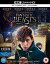 貦Ҥ㤨֡šFantastic Beasts And Where To Find ThemפβǤʤ491ߤˤʤޤ