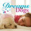 š(CD)Dreams for Dogs˥Х