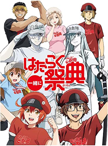 【中古】 LOOSER～失い続けてしまうアルバム（Blu－ray　Disc）／TEAM　NACS