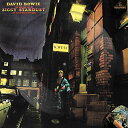 【中古】(lp_record)THE RISE AND FALL OF ZIGGY STARDUST AND THE SPIDERS FROM MARS 50TH ANNIVERSARY PICTURE DISC VINYL Analog ／DAVID BOWIE