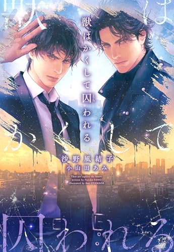 【中古】獣はかくして囚われる (ディアプラス文庫)／沙野 風結子