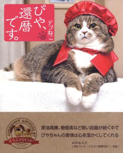 【中古】デブねこぴや、還暦です。／田口 宣子