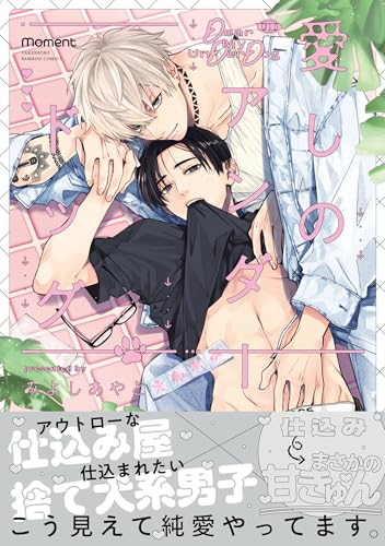 ����š۰����Υ�������ɥå� (�Х�֡����ߥå��� moment)���ߤ褷�����