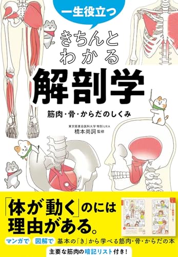 【中古】一生役立つ きちんとわかる解剖学 筋肉・骨・からだのしくみのサムネイル