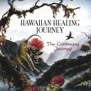 【中古】(CD)Continuing Journey/Bryan Kessler、Steve Jones