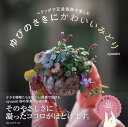 【中古】ベランダで豆盆栽鉢で楽しむ ゆびのさきにかわいいみどり/ayumitt