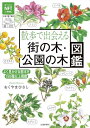 【中古】散歩で出会える 街の木・公園の木図鑑/おくやまひさし