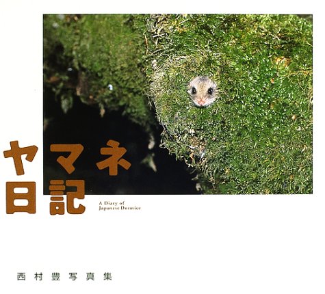 【中古】ヤマネ日記: 西村豊写真集／西村 豊