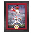 最後1点 ロスアンゼルス エンジェルス 大谷翔平選手 2023年 AL MVP賞 ブロンズ コイン 記念 フレーム フォト