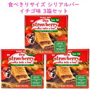 ☆3箱セット☆ トレーダージョーズ シリアルバー ストロベリー 6本入り 7.9oz (224g) Trader Joe 039 s【6 Strawberry Cereal Bars】