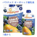 パウチ入り オーガニック 離乳食 1歳から ファイバー ＆ プロテイン 洋ナシ ブルーベリー ホウレン草 4パック入り 各4.22oz(120g) Organics Happy Tot ハッピートット