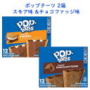 2 2Zbg yCXg[َq |bv^[c tXg XA & `R[gt@bW e12 20.3oz 576g Kellogg's PbO |bv^g Pop Tarts