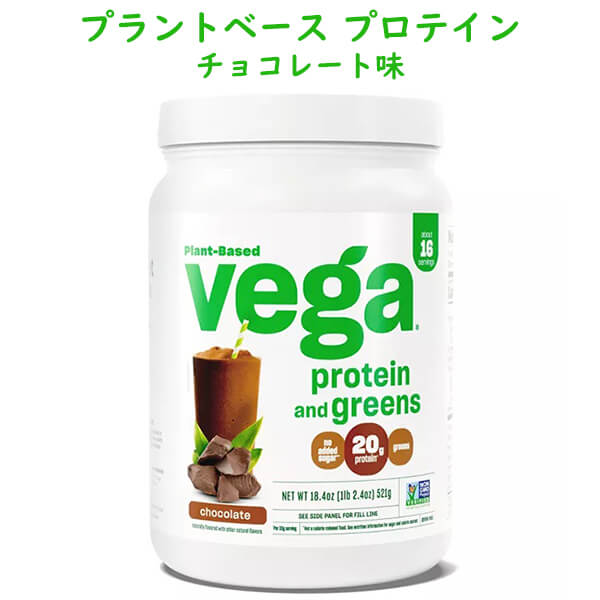 プラントベース プロテイン パウダー チョコレート味 521g 18.4oz 約16杯分 グルテンフリー Vega Protein and Greens ベガ プロテイン ＆ グリーン