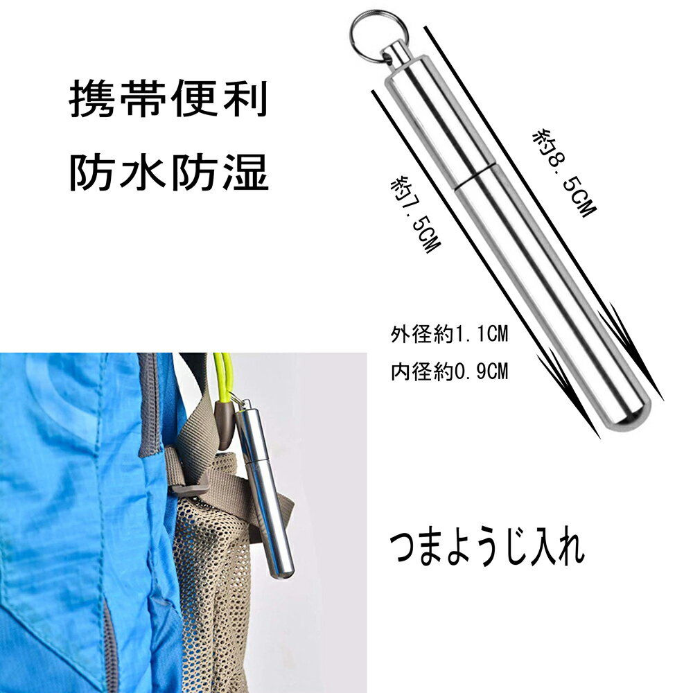 【送料無料 メール便 郵便】キーホルター付ステンレス爪楊枝ケース 爪楊枝入れ 爪楊枝 つまようじ 携帯便利 旅行 出張 外食