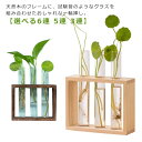 フラワーベース ポット 一輪挿し 花器 木製 ガラス 花びん フレーム 花瓶 試験管 透明 6連 ナチュラル クリア 水栽培 おしゃれ 花瓶 クリア フラワーポット 壁面 北欧 水耕栽培 壁掛け インテリア おしゃれ かわいい 母の日 誕生日 贈り物 プレゼント 卓上