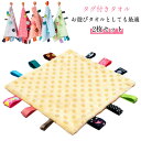 タグタオル タオル タグ付きタオル 25×25cm タグ おもちゃ よだれ拭き タオルハンカチ お遊びタオル 聴覚 赤ちゃん ハンカチタオル お遊び用 視覚 遊びタオル ベビー ベビー 子ども 子供 玩具 安心 安全 2枚セット 綿 コットン