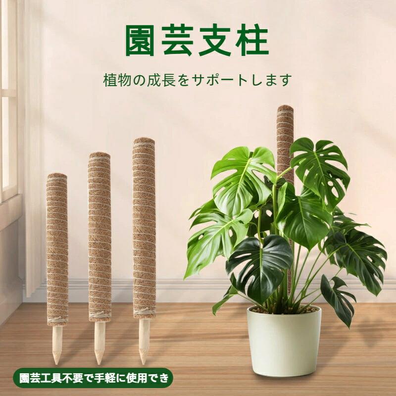 【安定した植物サポート】安定性に優れ、植物の成長をサポートします; ヘゴ支柱としてモンステラやポトスに最適です; 頑丈な構造で植物を傷つけません、モンステラ用のモスポールやつる植物用の支柱に最適です、このモンステラ 支柱セット植物ホルダースティック、ジュートロープ、緑色のベルクロが付属し、サポート力を高め、簡単に設置できます。【便利な付属品セット】園芸工具不要で手軽に使用できます。【柔軟なDIYデザイン】このモンステラ 支柱セット自由に曲げたり形作ったりできる柔軟性があります; 観葉植物 支柱として様々な形状に対応可能; モンステラ支柱家庭でのDIYガーデニングにぴったりです、屋内植物のつる植物用のモススティックとモンステラ用植物支柱は、植物が背が高く強く成長するように導きます。【幅広い植物に対応】モンステラ 支柱としてだけでなく、つる性植物や観葉植物全般に使用可能; ポトスタワー支柱としても活用できます; 室内外問わず利用可能です【ナチュラルな素材感】このモンステラ 支柱椰棕棒は自然な風合いで植物との調和が取れます; 園芸用支柱として庭やインテリアに溶け込むデザイン; モンステラ支柱植物の成長を優しく導きます、高品質の構造長くお使いいただけます。園芸支柱 モンステラ 支柱 ココナッツ 30cm+40cm 50cm+60cm 30cm 40cm 50cm 60cm