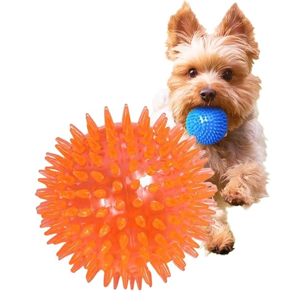 犬用おもちゃ ボール 音の出る 噛むおもちゃ 歯磨き 天然ゴム 弾力性 耐久性 運動不足 ストレス解消 訓練用 知育玩具 小型犬/中型犬に適用サイズ (オレンジ 直径5.5cm 1個)色モデルJPMG-GCQ-5.5-c商品説明【商品概要】【高品質で安全】:食品グレードのTPR製、無毒、化学臭なし。子犬に最も安全なペットおもちゃを提供します。ボールのスパイクに緩衝材が付いているため、壊れにくく、窒息の危険がありません。歯茎と歯を清潔に保つという利点もあります。【犬用きしむボール】:内部にきしむ音がするボールが深く隠れているため、犬が押し出すことがほとんどなく、噛んだり遊んだりするときに窒息する危険がありません。犬がどんなに噛んでも、スパイクボールはかわいい音を出し続けます。あまり大きくはありませんが、犬の注意を引きます。【犬用バウンシーボール】:ボールは地面に投げると高く跳ねるので、投げたり取ってこたりするゲームに適しています。犬がジャンプしたり、ボールを取ろうと走ったりすることで、犬の反応と跳躍能力が鍛えられ、飼い主と犬の関係が前向きに強化されます。簡単に潰れますが、空気で膨らんで動き続けます。【さまざまな機会】:ボールを取ってこい、トレーニング、運動などの屋外アクティビティ、室内での遊びや娯楽に最適なスパイクボールは、あらゆる機会に最適なおもちゃです。明るい色の犬用ジョリーボールは、庭、家、公園、プールで犬と遊ぶのに適しています。【商品説明】内部に鳴き笛付きデザイン、窒息の危険がなく、ペットに安全です。 BPAフリー、無臭、食品グレードのTPR素材で作られています。 跳ね返りが大きく、音が出やすく、より興味深いです。 スパイクボールは犬の歯をきれいにし、歯茎をマッサージし、口腔を健康に保ちます。 何時間も楽しく遊べ、不安を軽減し、家具を噛むのを防ぎます。 ? 全犬種用の犬用ボールおもちゃ サイズS:子犬、小型犬、中型犬用 サイズM:中型犬、大型犬用 サイズL:大型犬、激しく噛む犬用【商品詳細】商品種別:犬用ボール商品名:犬用おもちゃ ボール 音の出る 噛むおもちゃ 歯磨き 天然ゴム 弾力性 耐久性 運動不足 ストレス解消 訓練用 知育玩具 小型犬/中型犬に適用サイズ (オレンジ 直径5.5cm 1個)製造元:商品内容:オレンジ 直径5.5cm 1個【当店からの連絡】犬用おもちゃ ボール 音の出る 噛むお 犬用品 おもちゃ ボール 豊富な品揃え
