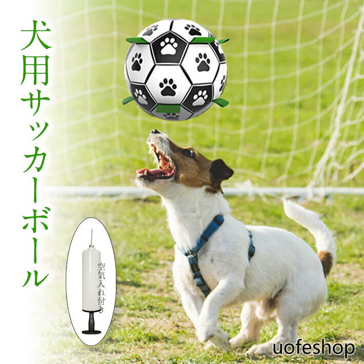 大型犬 ドッググッズ ペット用品 空気入れ付き 小型犬 犬おもちゃ アウトドア遊び 犬ボール遊び 犬ボール fcygwj15 ポンプ付き ストレス解消 中型犬 犬用品 犬のいる生活 散歩遊び ドッグボール 犬用サッカー
