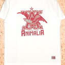 ANIMALIA mAj}An TVcAN17S-TE04 WISE MAN