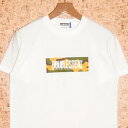 DOUBLE STEAL ［ダブルスティール］ Tシャツ982-14008 DESERT CAMO BOX