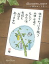 夏のカード『七夕』(生かされている)