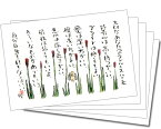 【5枚組】で100円お得っ！カラーカード66(大切なあなたへのアドバイス八ヶ条）