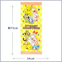 林タオルHAYASHIポケモンピカピカパックF/T2Pヘッダ
