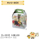 【個人宅不可】フルーツ 手提BOX キャリーBOX ニューキャリー ミニ 品番L-203 ケース販売 入数100 サイズ210×165×205mm 送料無料 ヤ...