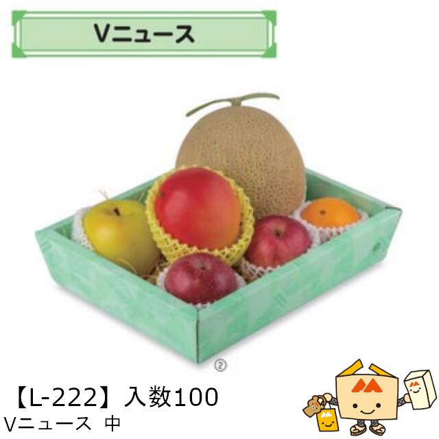 【個人宅不可】フルーツ サービスBOX Vニュース 中 品番L-222 ケース販売 入数100 サイズ245 320 70mm 送料無料 ヤマニパッケージ ヤマニ 紙 ダンボール マンゴー みかん オレンジ 柿 りんご …