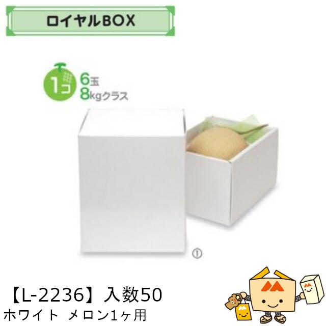 ڸĿԲġۥե롼 BOX ۥ磻 1 L-2236  50 155220150mm ̵ ޥ˥ѥå...