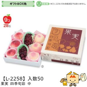 【個人宅不可】フルーツ ギフトBOX角 果実四季旬彩 ミニ205角 品番L-2301 ケース販売 入数50 サイズ205×205×100(60)mm 送料無料 ヤマニパッケージ ヤマニ 紙 ダンボール フルーツ詰め合わせ りんご 林檎 梨 ぶどう 葡萄 マスカット もも 桃 社内02000701