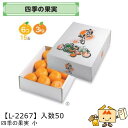 【個人宅不可】フルーツ 宅配ギフトBOX 四季の果実 小 品番L-2267 ケース販売 入数50 サイズ230×300×110mm 送料無料 ヤマニパッケージ ...