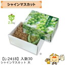 【個人宅不可】フルーツ ぶどう用 シャインマスカット大 品番L-2418 ケース販売 入数30 サイズ230×300×135mm 送料無料 ヤマニパッケージ ヤ...