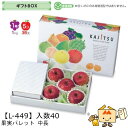 【個人宅不可】フルーツ ギフトBOX 果実パレット 中長 品番L-449 ケース販売 入数40 サイズ400×225×110(60)mm 送料無料 ヤマニパッケ...