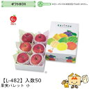 【個人宅不可】フルーツ ギフトBOX 果実パレット 小 品番L-482 ケース販売 入数50 サイズ200×295×95(60)mm 送料無料 ヤマニパッケージ...