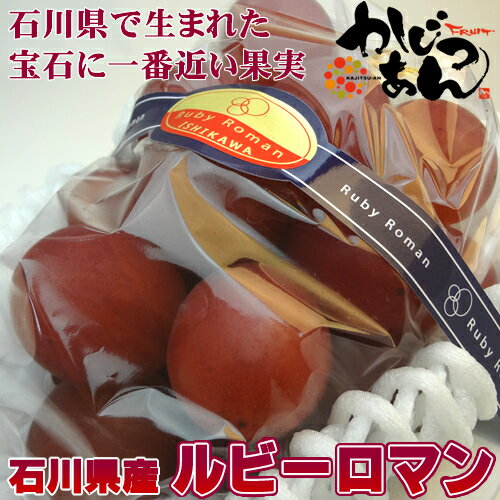 石川県産ぶどう ルビーロマン 秀品 1房入り 500〜700g 赤葡萄の中で粒の大きさが最大級 爽やかな甘さとジューシーな味が特徴の石川県で生まれたブランド品種 お中元ギフト 帰省土産 暑中見舞い…