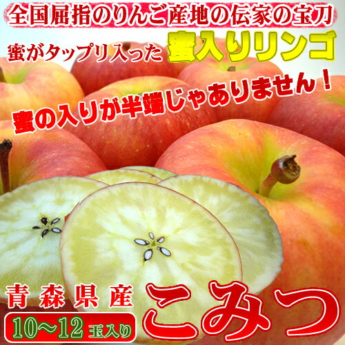 青森県産 幻の蜜入り リンゴ こみつ 10〜12玉入り　高徳を究極の品質に高めた蜜入り りんご 甘くて旨みのある味！緻密な果肉は食味の良さが抜群！　 こみつの会　お歳暮ギフトにおすすめ　発送：11月下旬〜