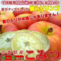 https://thumbnail.image.rakuten.co.jp/@0_mall/kajitsuan/cabinet/00129614/imgrc0065373945.jpg