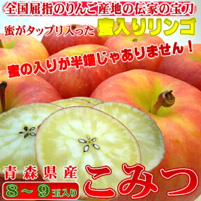 青森県産 幻の蜜入りリンゴ こみつ 8〜9玉入り　高徳を究極の品質に高めた蜜入り りんご　甘くて旨みのある味！緻密な果肉は食味の良さが抜群！　 こみつの会　お歳暮におすすめ　 発送予定：11月下旬〜