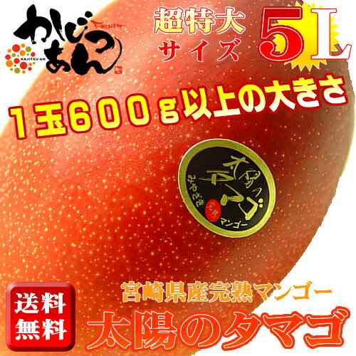 宮崎県産完熟マンゴー 太陽のタマゴ 超特大玉1玉 化粧箱入り　1玉が600g以上の重さ　宮崎マンゴーの最高級品！お中元におすすめ　母の日ギフト・カーネーション1本サービス　出荷予定：4月中旬〜