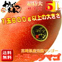 宮崎県産完熟マンゴー 太陽のタマゴ 超特大玉1玉 化粧箱入り　1玉が600g以上の重さ　宮崎マンゴーの最高級品！母の日ギフトにおすすめ　母の日ギフト＋カーネーション（造花）・ブーケのついたカード付き　4月中旬～