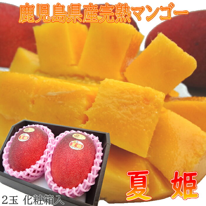 【鹿児島産マンゴー】とろけるような食感！美味しいマンゴーのおすすめは？