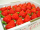 徳島県佐那河内村産 さくらももいちご 24粒入り　市場へ出荷されて間もない苺の新品種！甘さ抜群でとっても食味が良いイチゴの逸品！　ホワイトデーのギフトにおすすめ 発送予定：2月下旬〜3月中旬の間