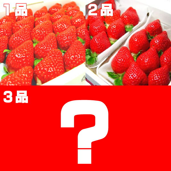 2021年新春・福袋　高級いちご「さくらももいちご」28粒×1箱、「あまおう」×1箱、届いてからのお楽しみ♪ドキドキわくわくの店長おすすめのフルーツが入った新春豪華福袋！ お年賀のギフトにおすすめ