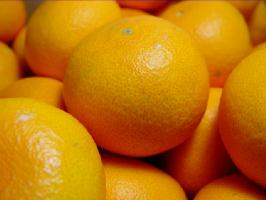和歌山県産 清見オレンジ 2kg 　温州みかんとオレンジを掛け合わせて誕生した新品種！甘くて果汁タップリのジューシーさが抜群！