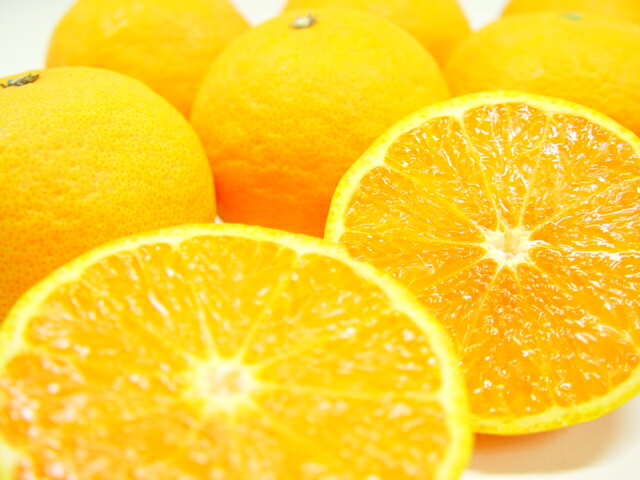 愛媛県又は三重県産 カラマンダリン 1kg 最も遅くに出荷される極上柑橘 甘さと濃厚な味わいが絶品 しかもとってもジューシー 