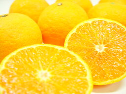 愛媛県又は三重県産 カラマンダリン 1kg 　最も遅くに出荷される極上柑橘！甘さと濃厚な味わいが絶品！しかもとってもジューシー！